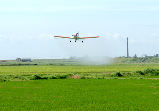 2012年中國農(nóng)藥產(chǎn)業(yè)機遇與挑戰(zhàn)同在